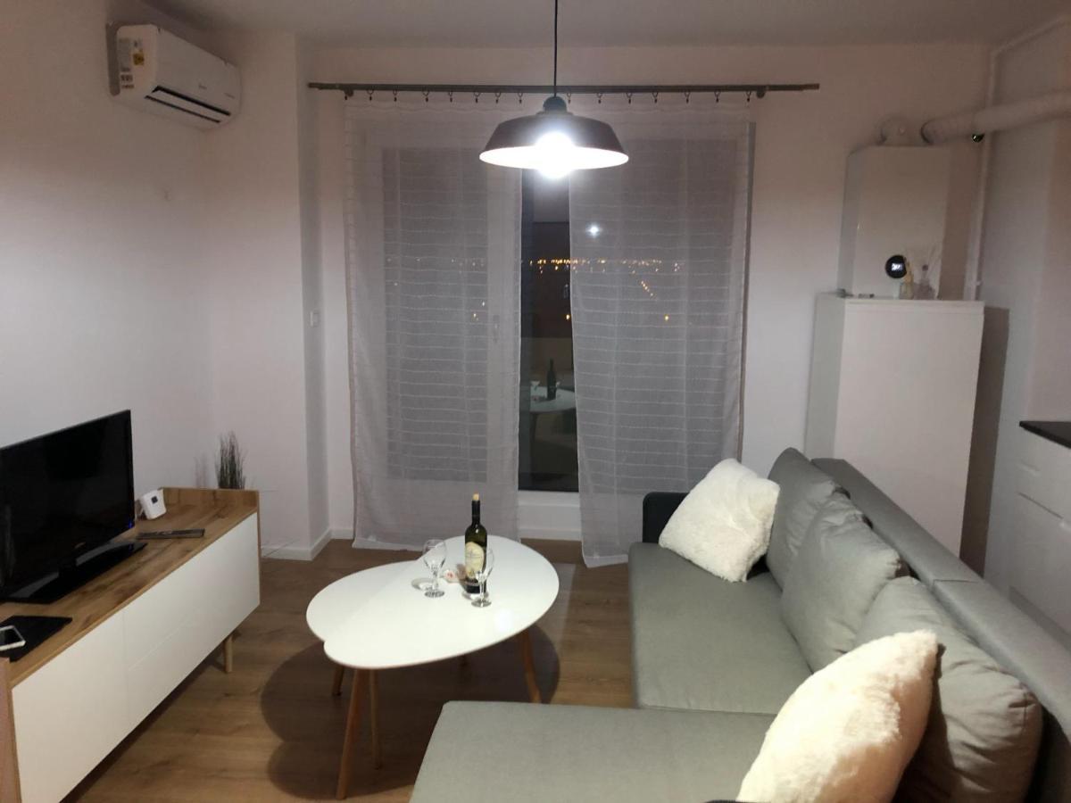 Chronos Apartment - Modern And Stylish Timisoara Esterno foto